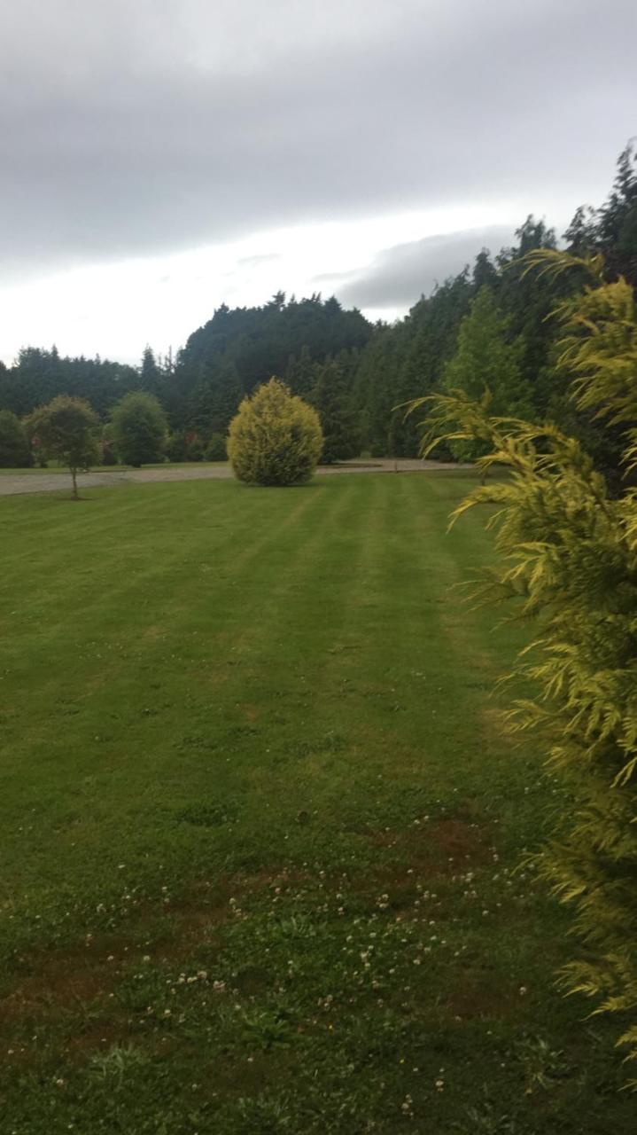 Dreamwoods * Puerto Varas